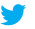 follow us on twitter